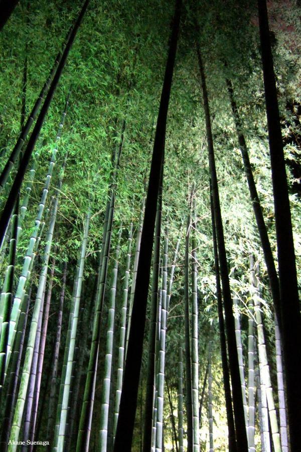 Kyoto Home Higashikujo المظهر الخارجي الصورة
