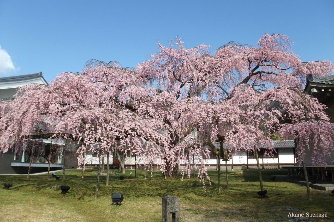 Kyoto Home Higashikujo المظهر الخارجي الصورة